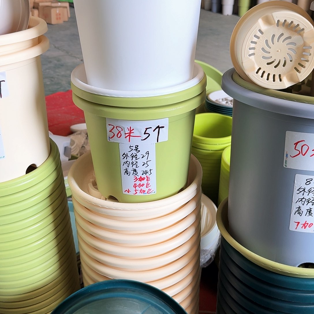 果绿色5号无拖6个微瑕