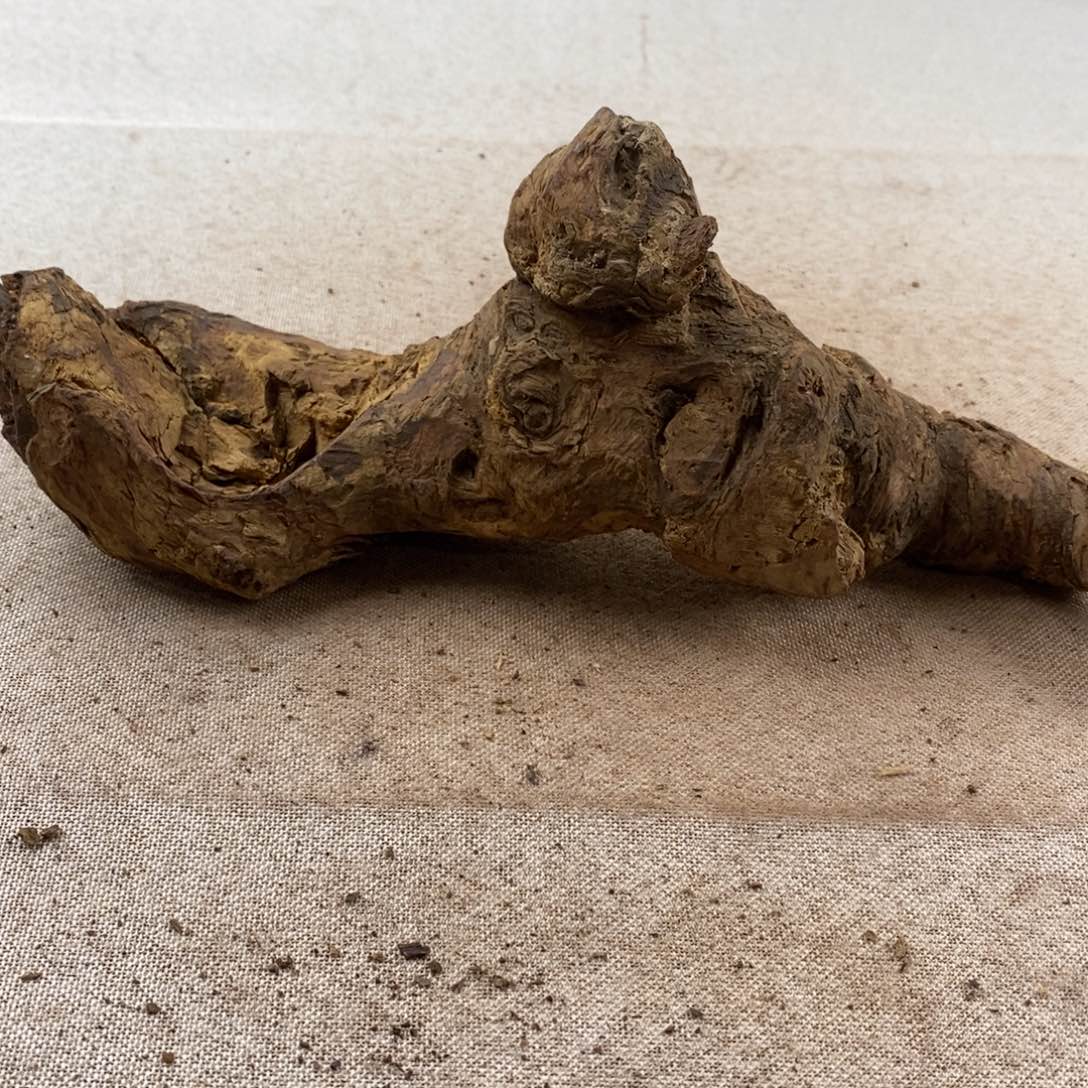 一***。黄花梨/降香黄檀黄花梨随形料子