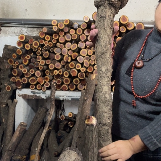 火流璃嗯哦嗯呢嗯