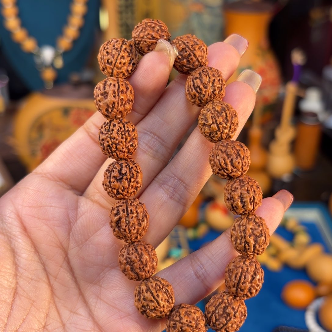 我们的生活也是如此