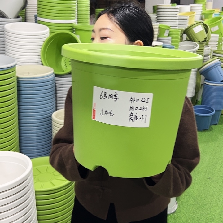 特价6号四季口32.5高27.7白色7只无托