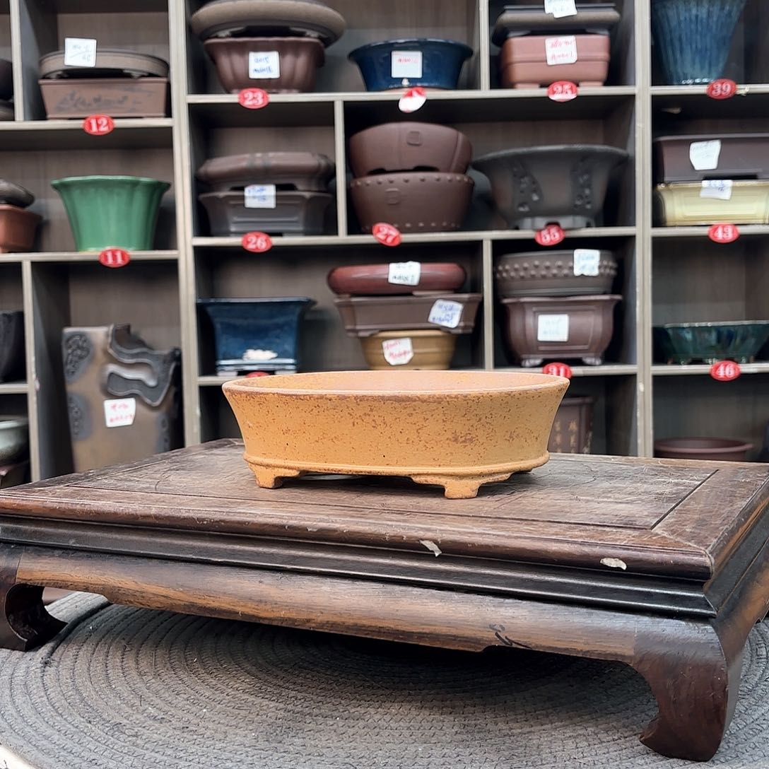 紫砂花盆紫砂的颜色很好看呀