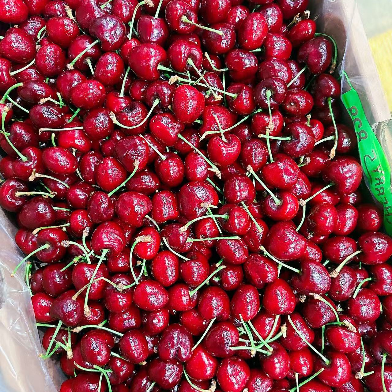 XLD车厘子 散称三斤1500克 海运内附果径卡智利