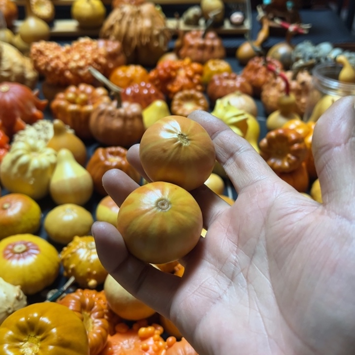 东****馆西瓜球瑕疵款不退不换