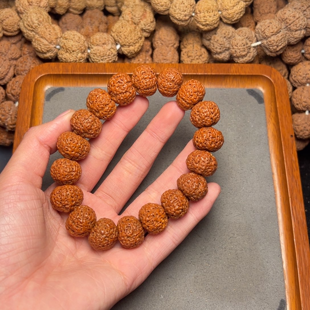 菩提4号尼泊尔大金刚18五星蜂王菠萝蜜