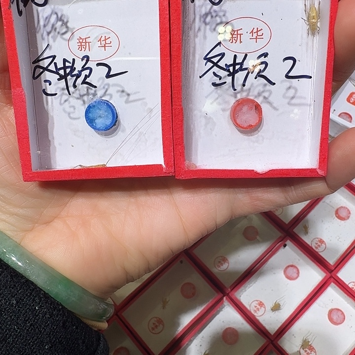 鶴***卿蟋蟀冬大黄蛉中须2只