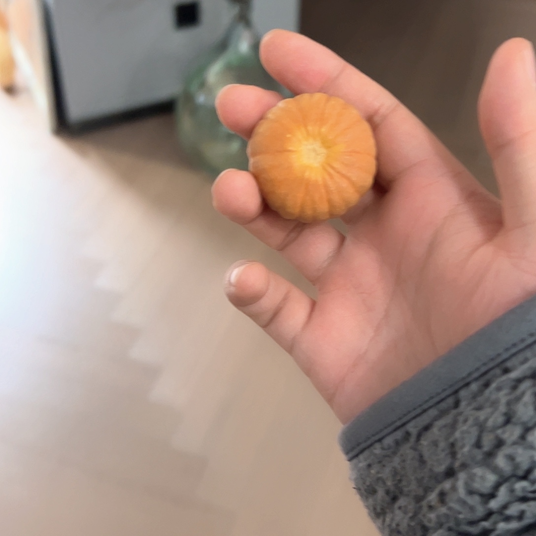 可*。葫芦娃的时候我也是醉了
