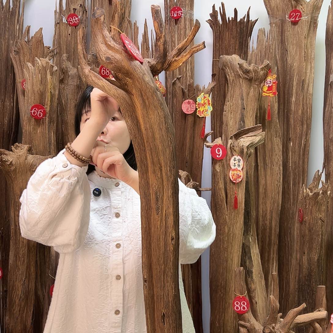 沉香摆件沉香原料摆件工艺品