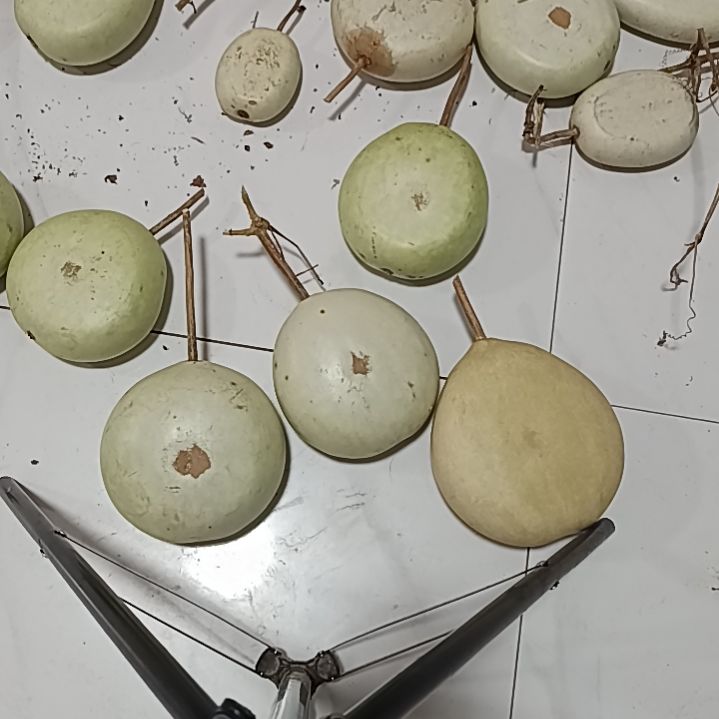 红红火火恍恍惚惚