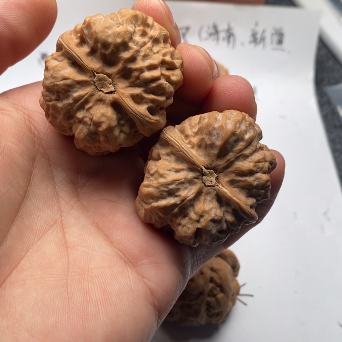 扶***。好的我真的好喜欢这个节目的