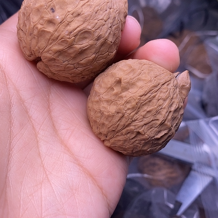 l***y把件文玩核桃   126