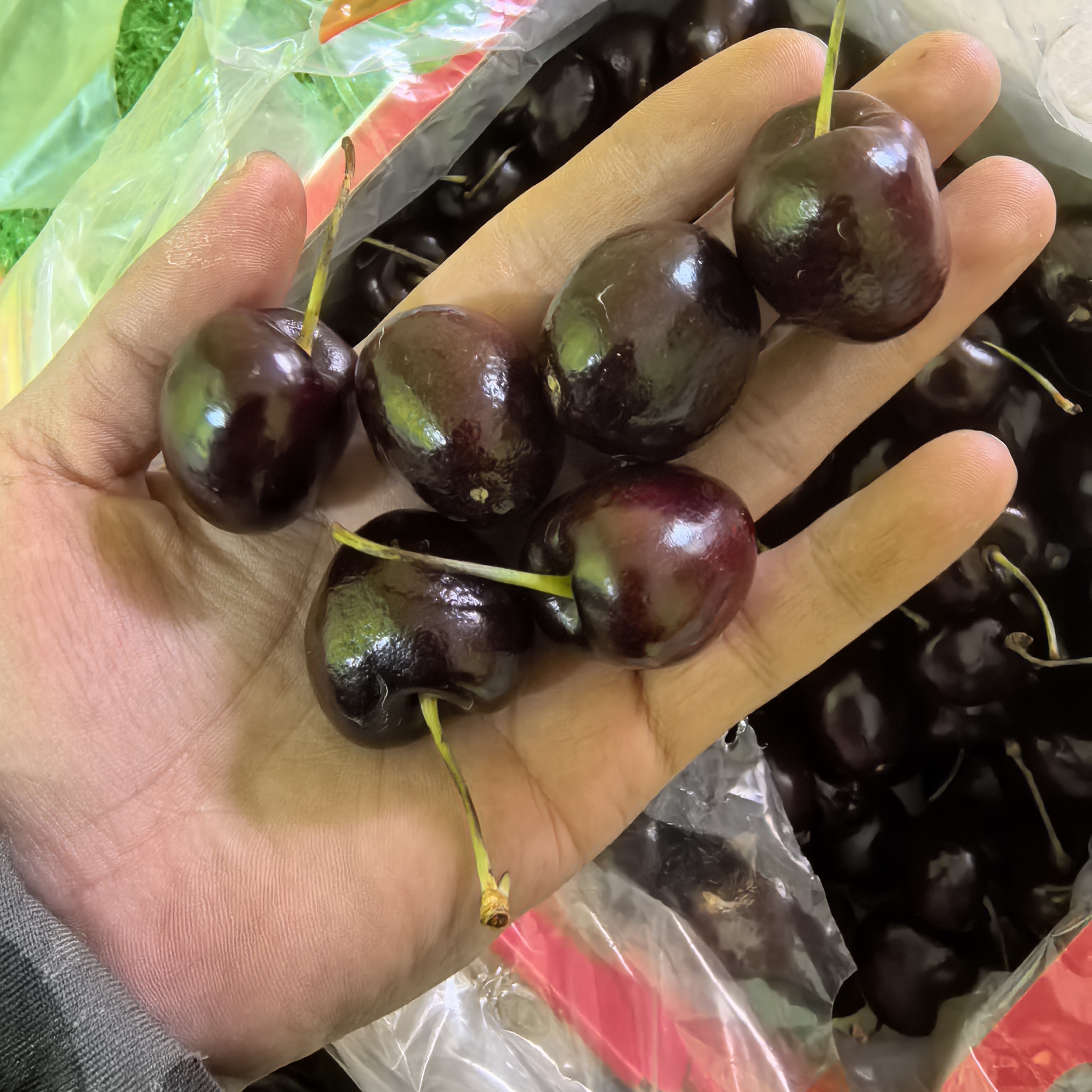 波板品牌智利产地空运进口3JD规格品种商品主体词一盒品规5斤净重新鲜应季桑提娜樱桃智利