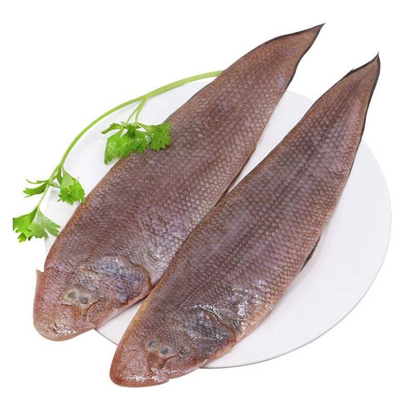 野生大龙利鱼（杀净去内脏500g，速冻锁鲜）