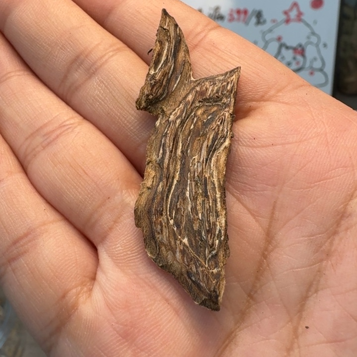 海南虎斑棋0.8克，生闻花香凉韵