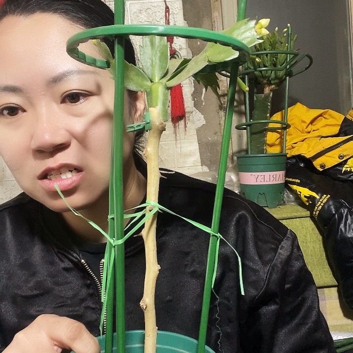 @***素1.5米六层一套 多带三个对接头