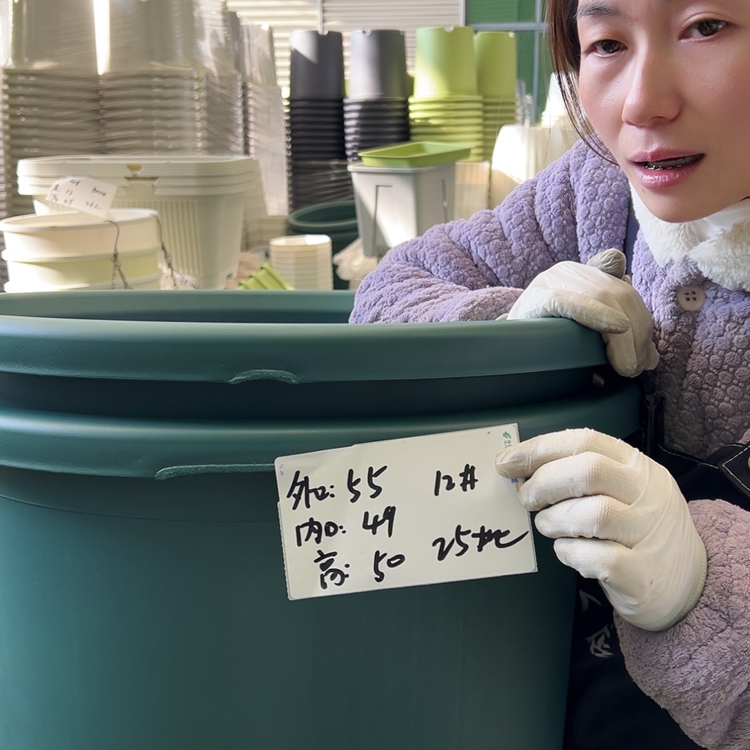 瑕疵四季盆12#墨绿2个无托