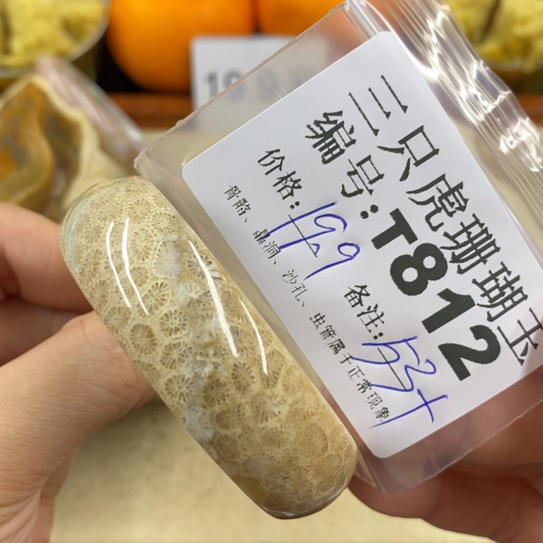 硅化珊瑚（珊瑚玉）1未镶嵌元*