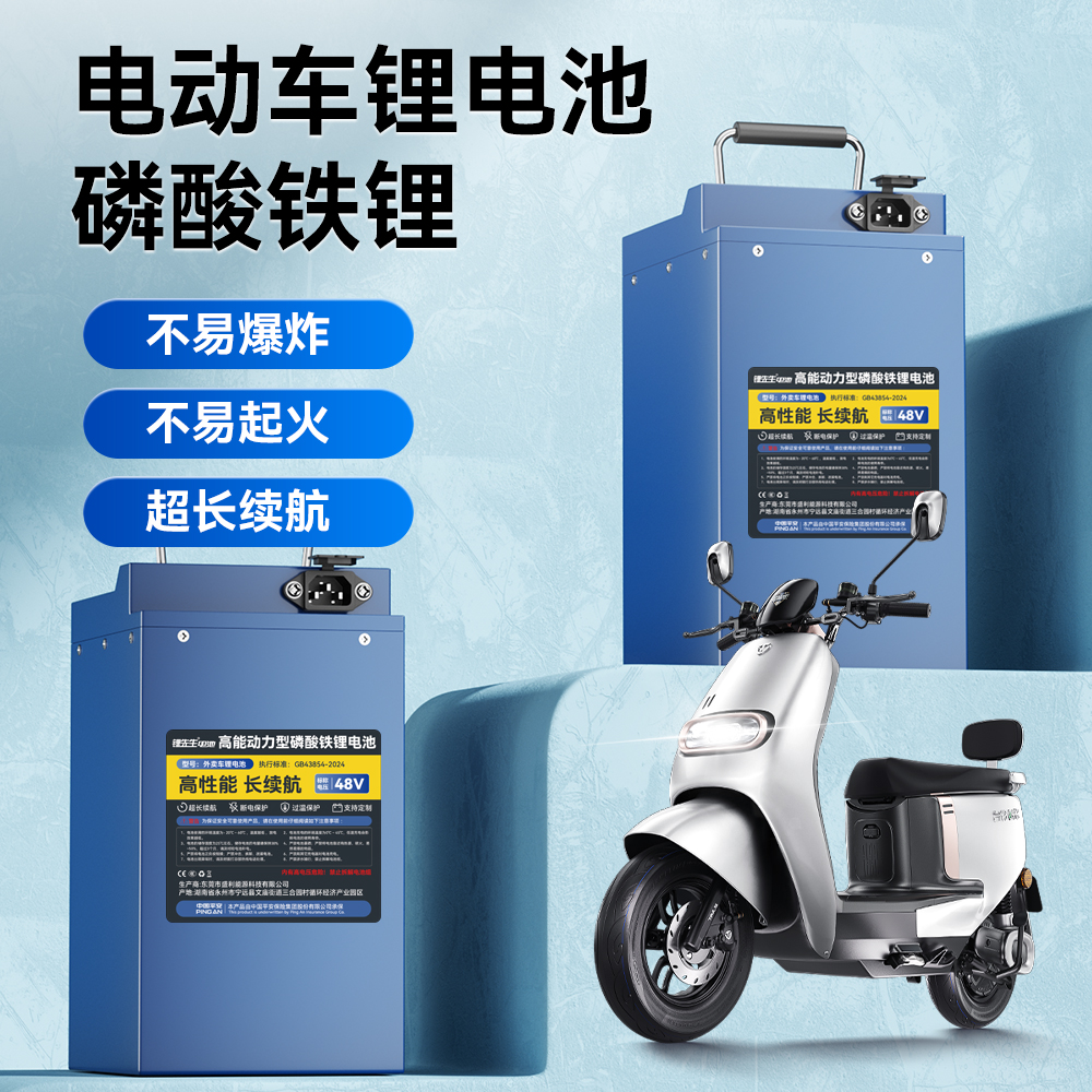 锂先生48V60V大容量磷酸铁锂电动车锂电池两轮三轮通用型