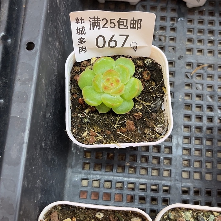 067 一个满25包邮
