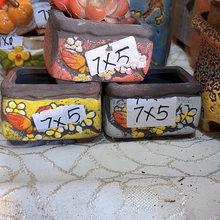 多肉花盆，满15包邮