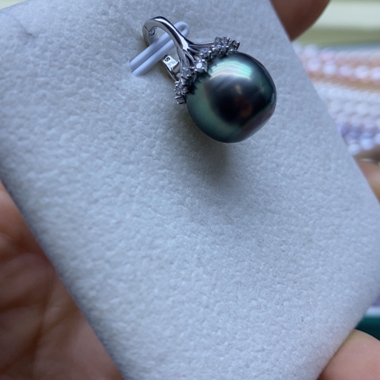 【闪购商品】海水珍珠颈饰银S925镶嵌