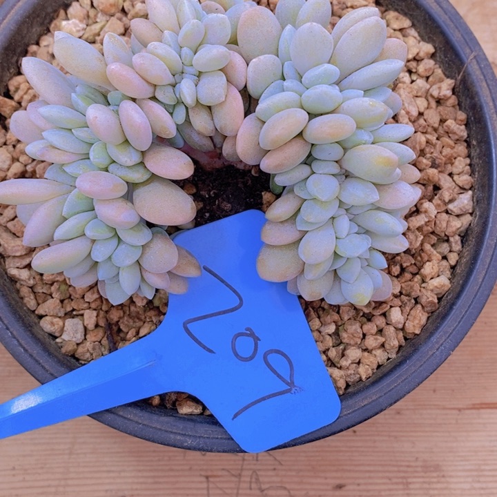 你说什么都对不我