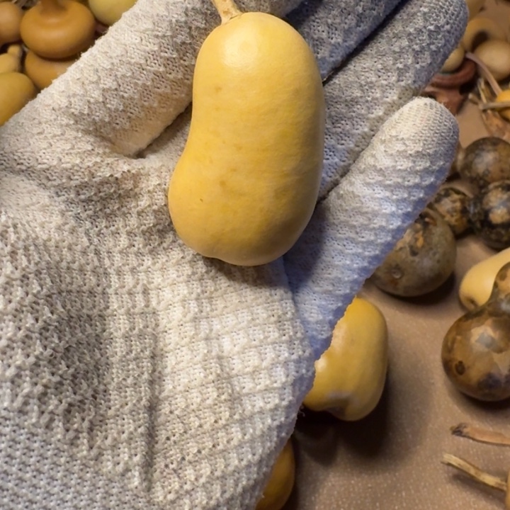 ～****葫芦111111111111211