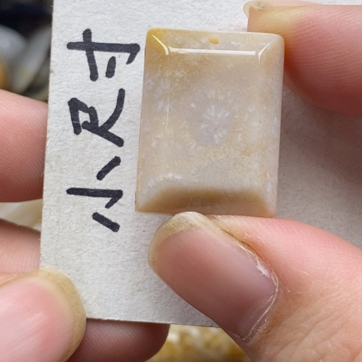 硅化珊瑚（珊瑚玉）未镶嵌颈饰