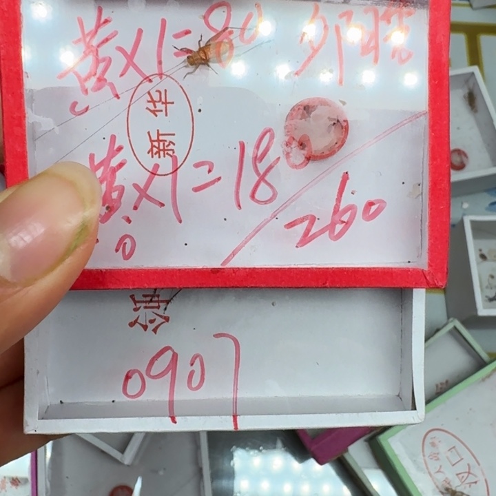 夕***秀蟋蟀蝈蝈我在外面吃饭1111