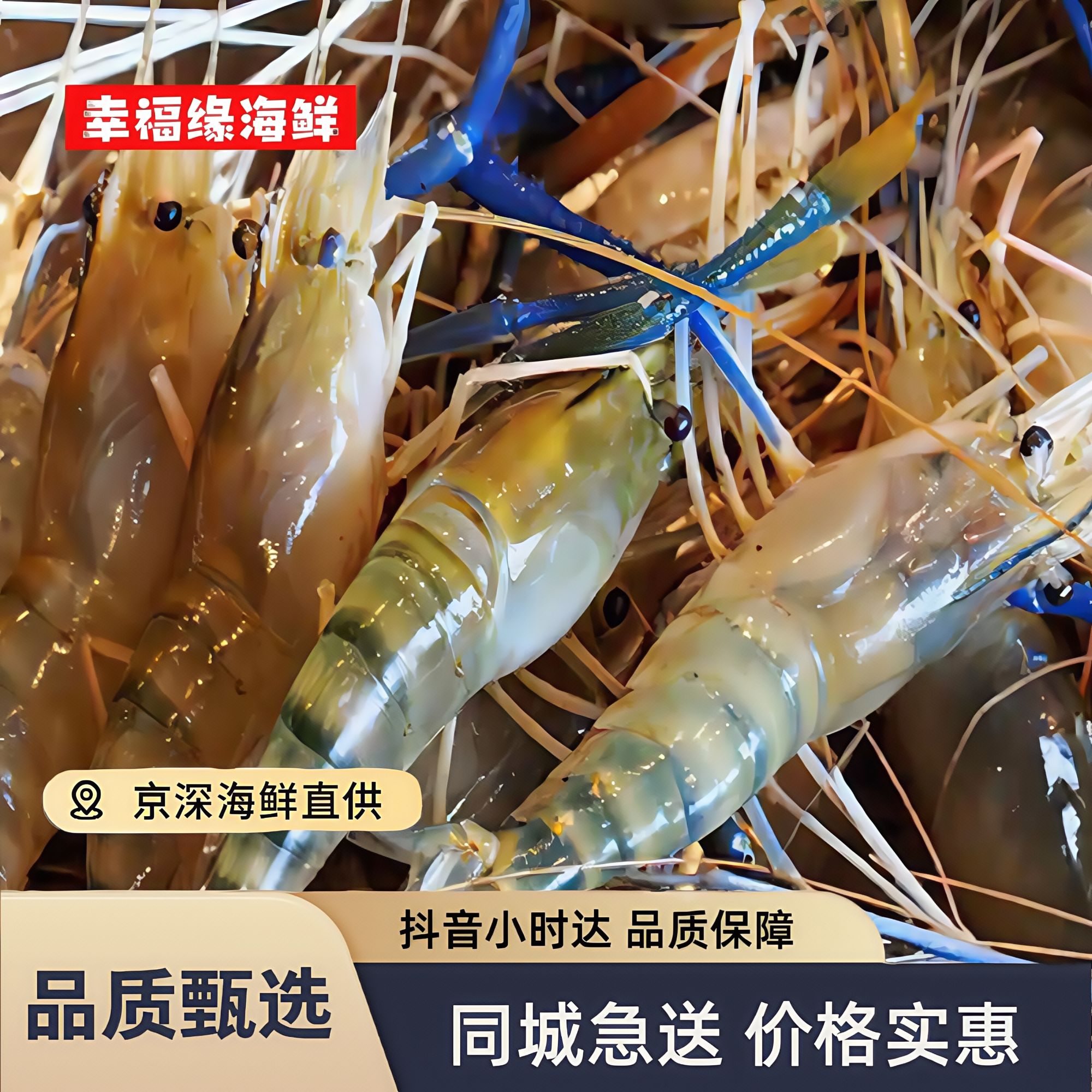 500g鲜活罗氏虾 大头虾