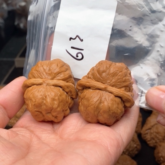 桃核吊坠M****森613蛙蛙蛙蛙