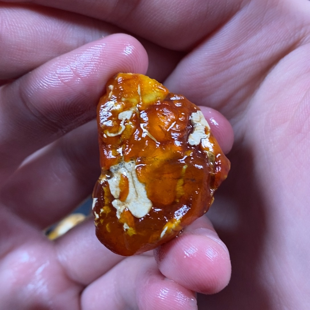 定制琥珀未镶嵌奶****虾琥珀蜜蜡原石定制