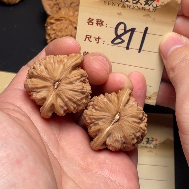 把件文玩核桃白狮子37尺全品白茬811