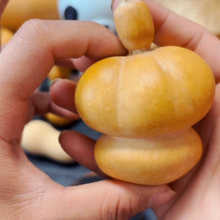 云**落8888888888888888889