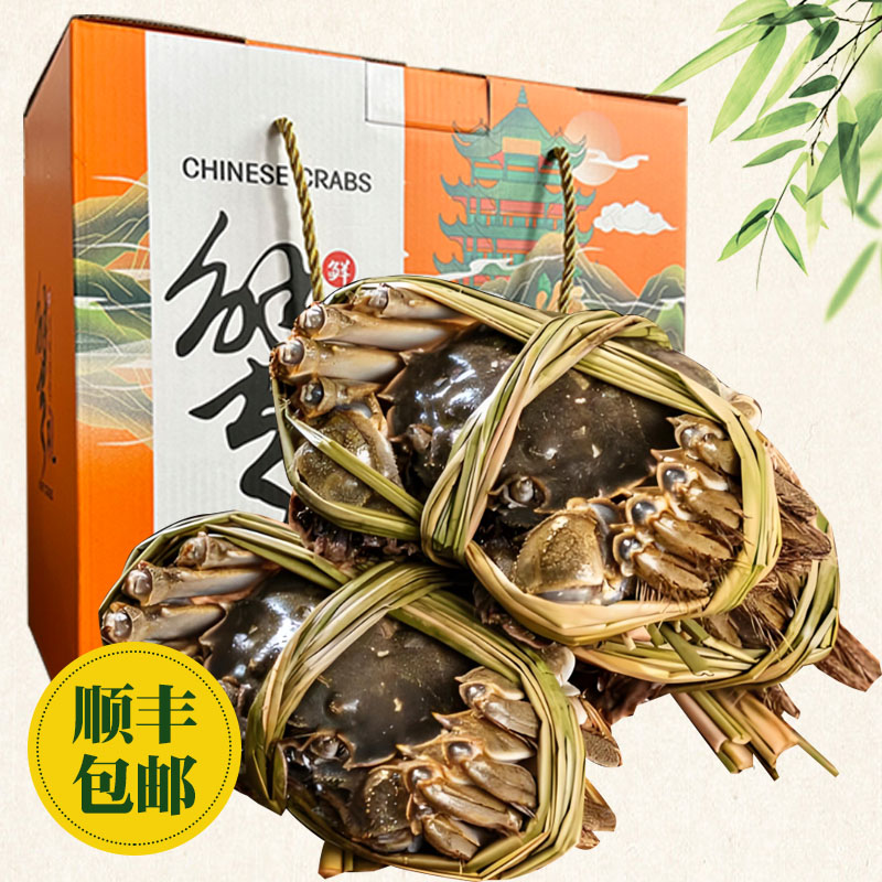 【活蟹】G2兴化大闸蟹公3.3-3.6两10只装礼盒装塘口直发鲜活