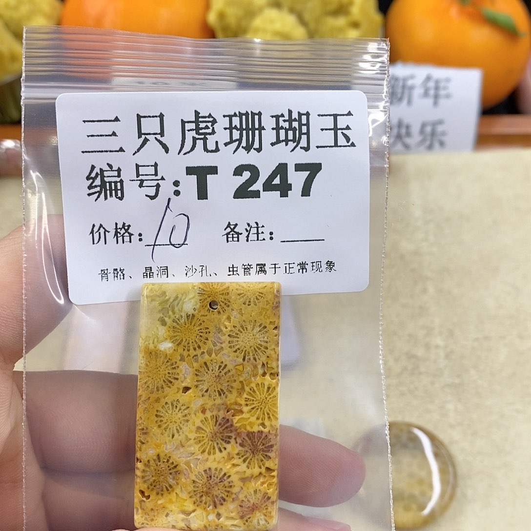 硅化珊瑚（珊瑚玉）1未镶嵌丽*