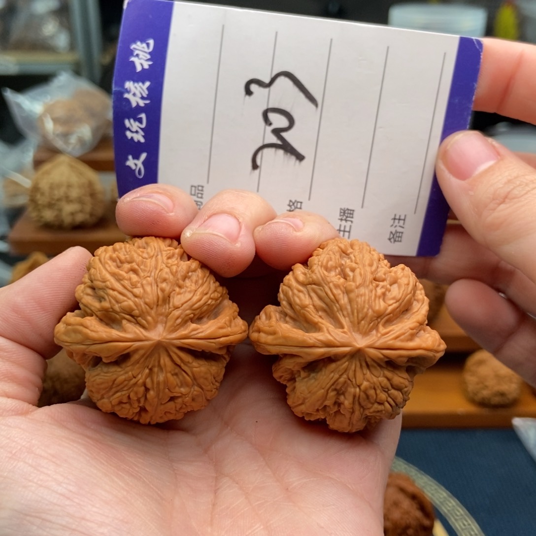 文玩核桃吊坠39粗筋