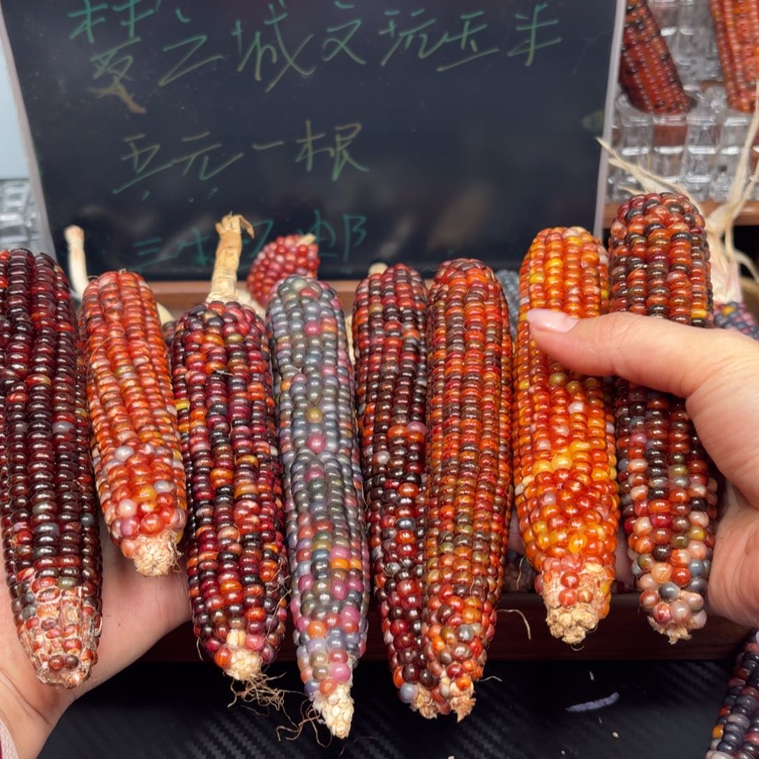 柏香籽/百香籽吊坠彼*