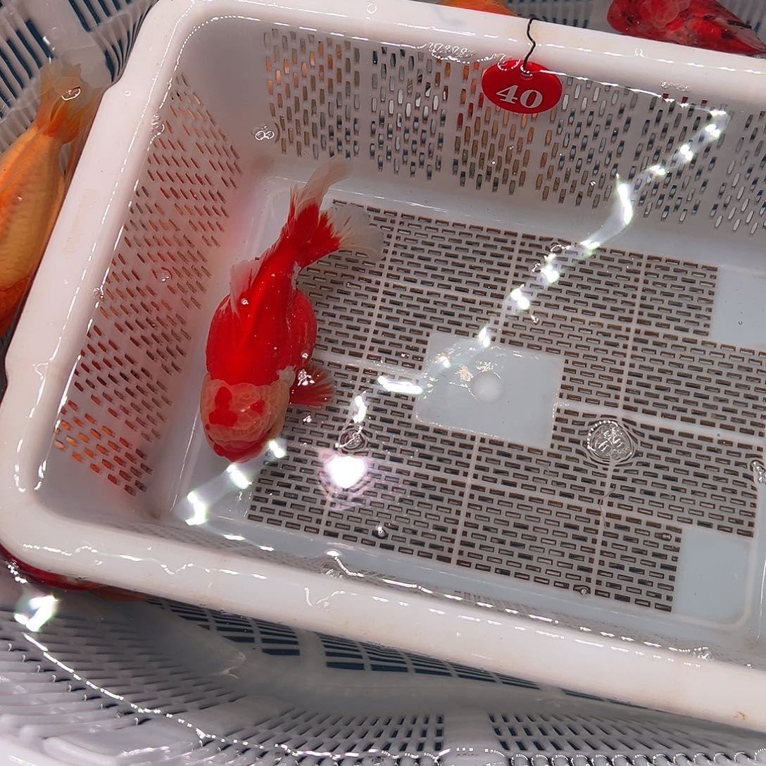 天***饕抖音上的小伙伴都在说