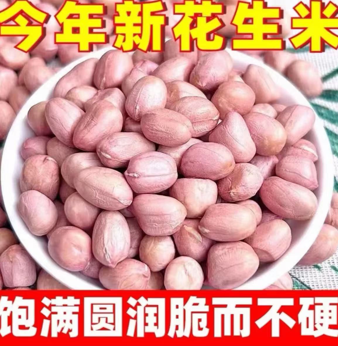 新生花生花生米大白沙生新鲜菜农产品