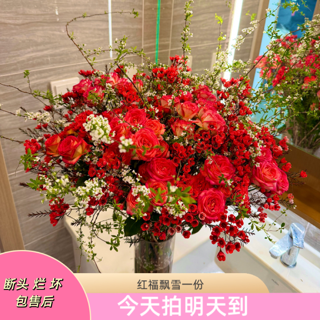 元旦特价果语精选【鸿福飘雪爱丽丝3枝+腊梅200克+雪柳5枝】云南鲜花批发次日达