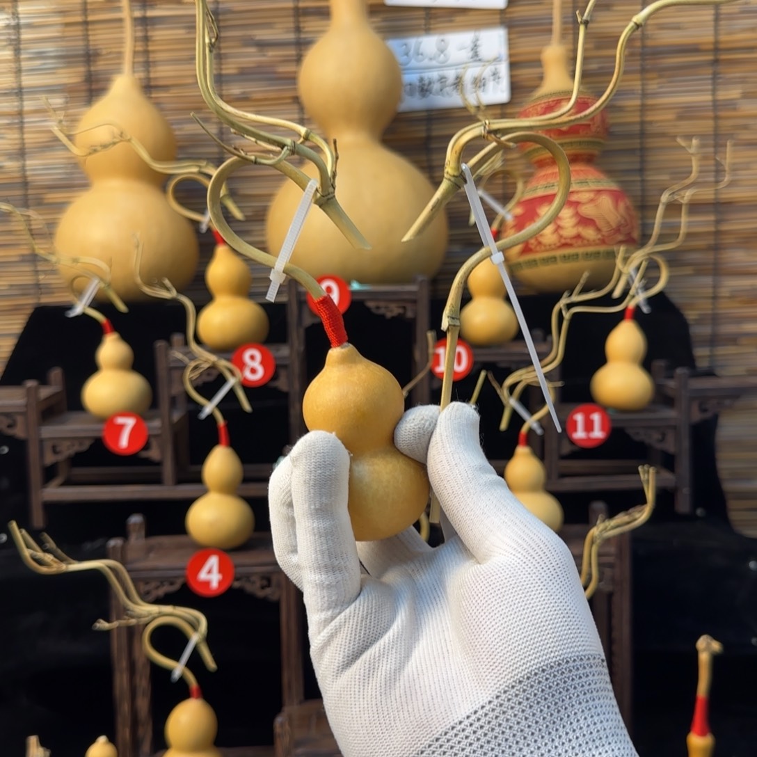 用***6啊啊啊啊啊啊啊啊