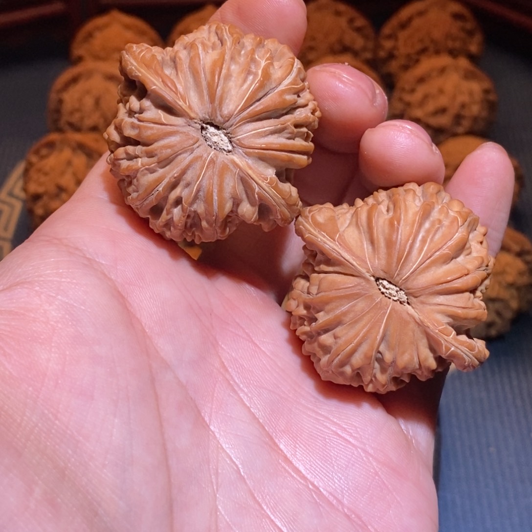 ****42尺 全品白茬 正磨