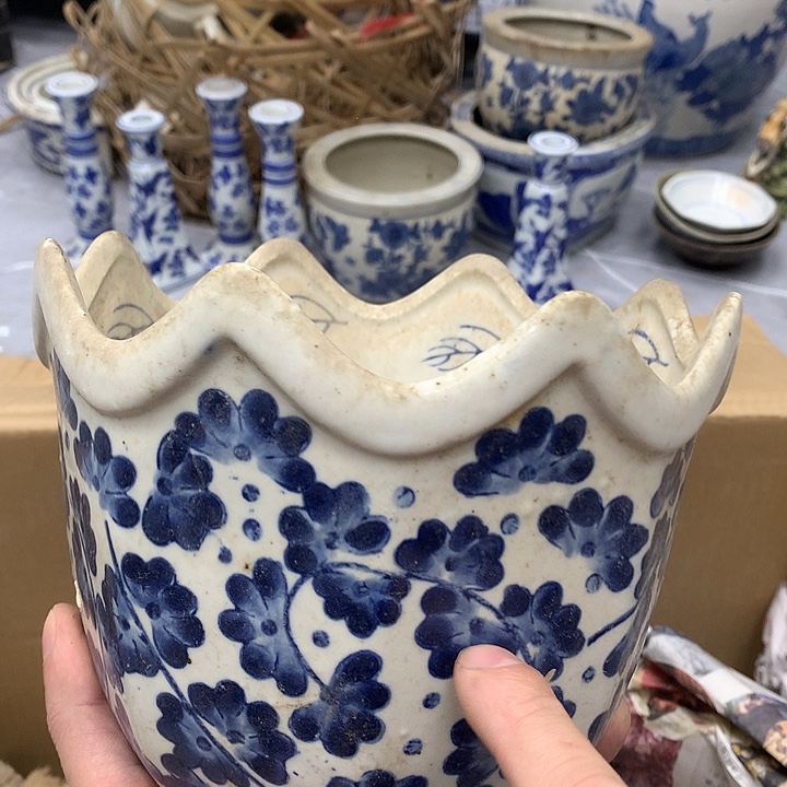 花盆147258369877566