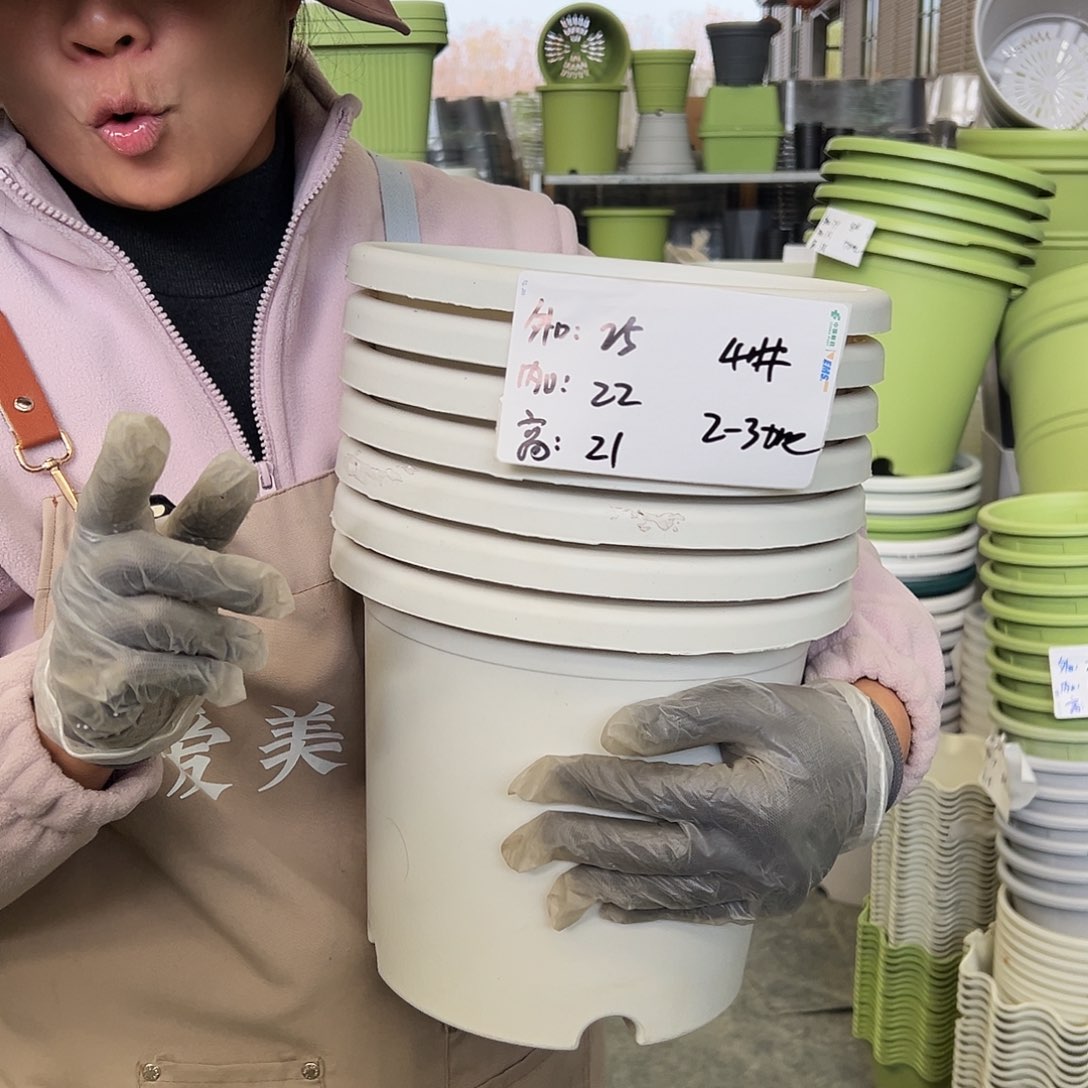 四季盆4#白色8个无托