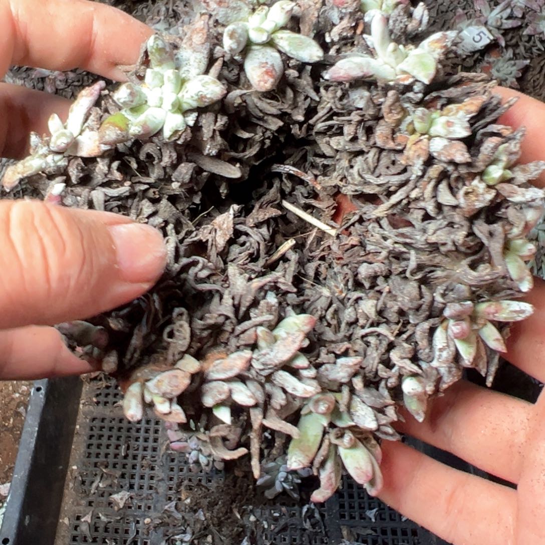 5973哈哈哈哈哈哈哈哈