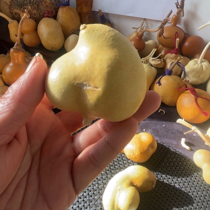 *****葫芦哈哈哈哈哈哈哈哈