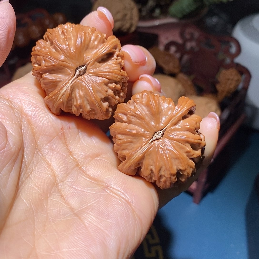 文玩核桃把件白狮子39