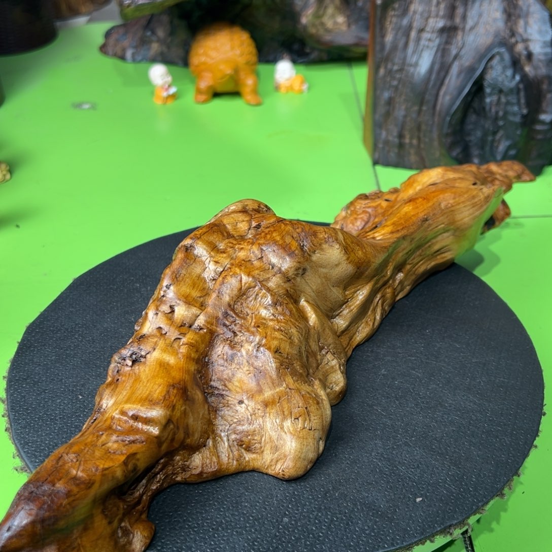 一***行大果紫檀（缅甸花梨）