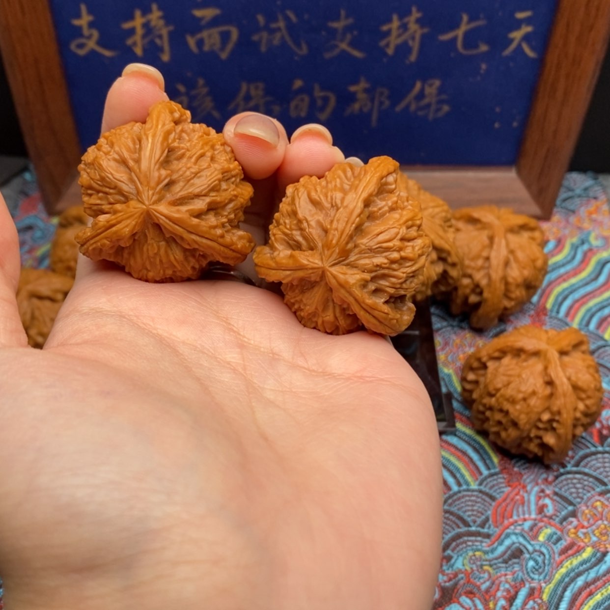 【闪购商品】）白狮